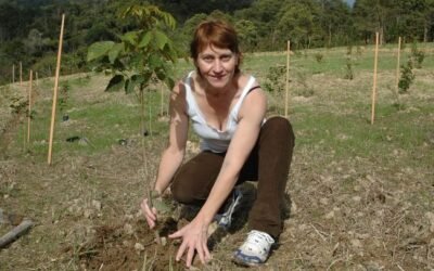 Participe do primeiro mutirão de neutralização de CO2 da campanha Miriam 4343