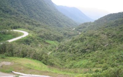 Ambientalistas se unem à Miriam para ter uma representante no Congresso Nacional