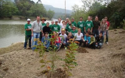 Voluntários fazem plantio de neutralização de CO2 da campanha de candidatos do PV