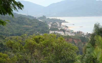 A questão do estaleiro em Biguaçu