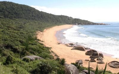 Ajude a salvar a praia de Taquarinhas