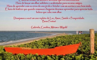 Feliz Natal e excelente 2011