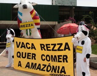 Votação do Código Florestal fica para 2011