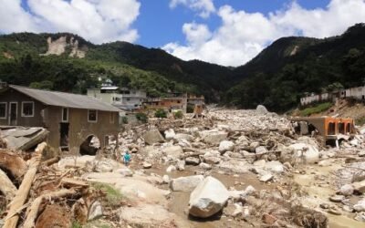 Código Florestal: homens x natureza