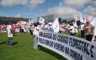 Ambientalistas e movimentos sociais em defesa do Código Florestal