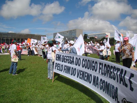 Ambientalistas e movimentos sociais em defesa do Código Florestal