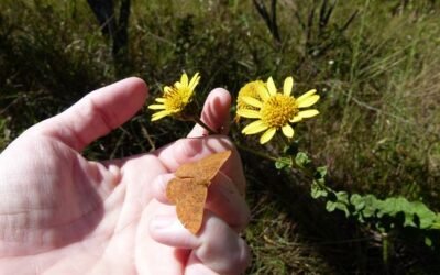 Um caminho que leve à vida