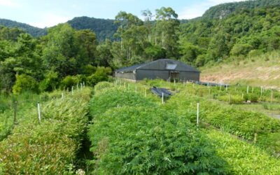 Conheça o Jardim das Florestas