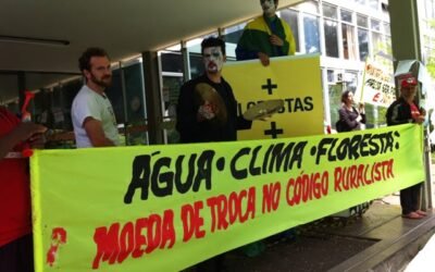 Ministra fraca leva Código Florestal a um desastre