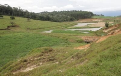 Áreas de plantação permanente