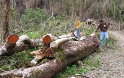 Cumplicidade com o atraso