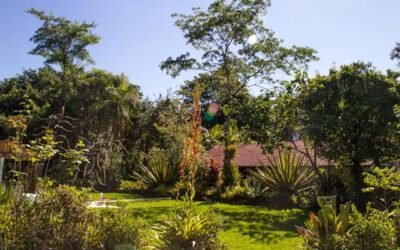 Sobre jardins e borboletas