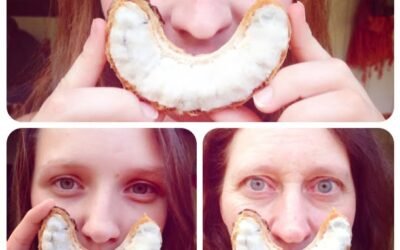 Balanço anual no micro: brotos no deserto