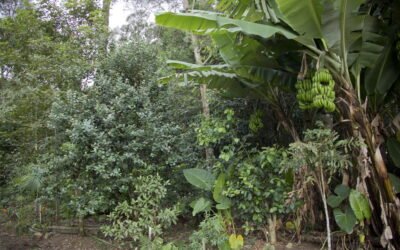 Participe do Seminário: o Desafio da Sustentabilidade