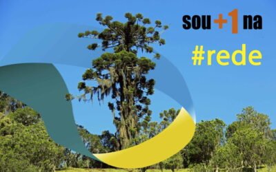 Nota da Rede sobre o leilão de cargos no Congresso