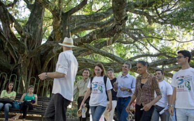 Rede Sustentabilidade comemora 500 mil assinaturas de apoio no sábado