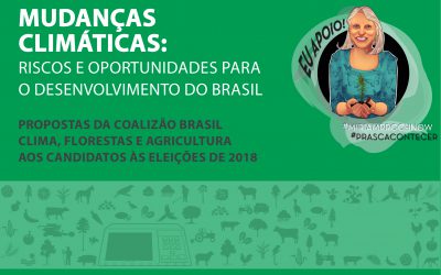 Candidata homologada pela Rede ao Senado apoia e divulga propostas da Coalizão Brasil aos candidatos às eleições 2018