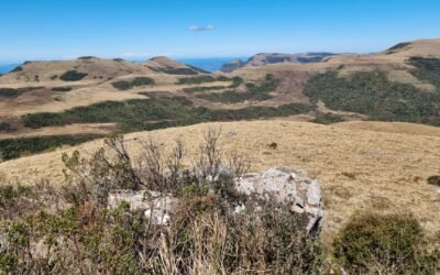 Campos de Altitude: patrimônio catarinense ameaçado
