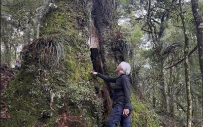 Clima e cuidado: não haverá saída sem justiça, coragem e compromisso com a vida